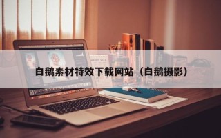 阳谷白鹅素材特效下载网站（白鹅摄影）